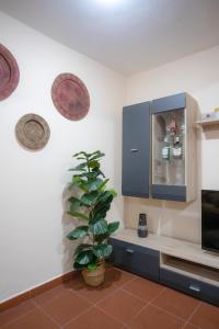 Domus Serpenti - Colosseum