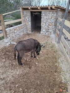 Eco Villa Solus with pool