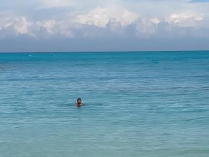 Palm Hills New Alamein