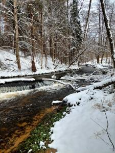 Apartament Graal Roztocza