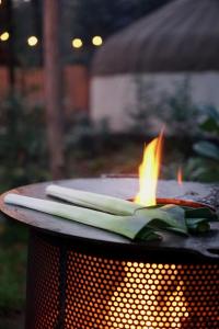 Unieke Yurt in het bos met jacuzzi en sauna