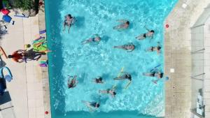 Camping 3 étoiles - Piscine - ccbeegd