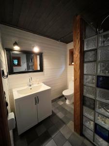 Ferienhaus Gädda mit Motorboot