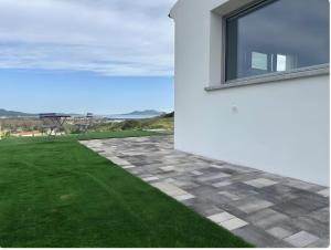 Fiori di Cactus Agave