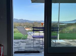 Fiori di Cactus Agave