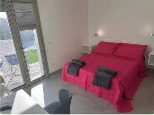 Fiori di Cactus Agave