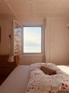 BnB Villa Kapellmatt