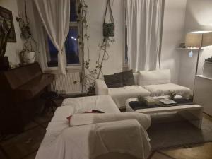 Perfect Budget Stay in Vienna With Great Accessibility