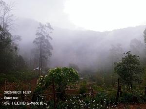 Hilltop Panorama Ohiya