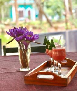 The Green Heaven Resort