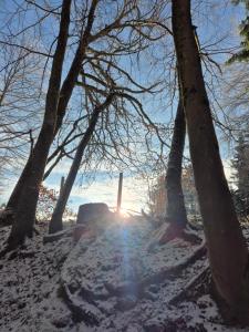 Ferienwohnung Atelier