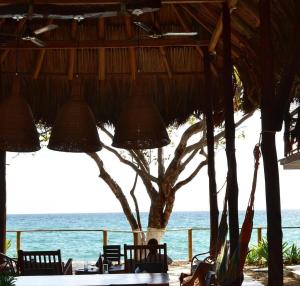 Accommodation on a coral island with turquoise sea