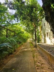 Praia Piscina e Aconchego em Genipabu BA