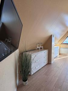 Willa Dorota SAUNA NA WYŁĄCZNOŚĆ, GROTA SOLANKOWA