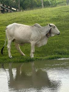 Sitio encantos do vale