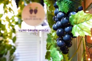 Lumi Grape House
