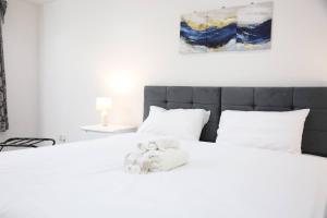 Spacious 6 Bedroom Home with Dedicated Office Private Parking for 2-3 cars