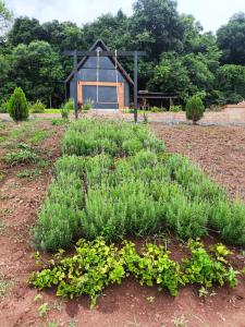 Pousada Cabana Schmitt