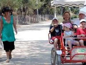 Appartement confortable, face à la mer, animaux admis - FR-1-323-449