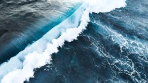 Lifes better Salty -Welcome to Serenity