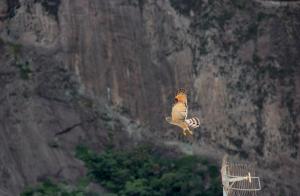 Apartamento em cobertura Copacabana