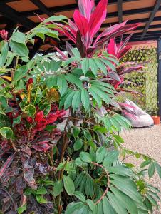 Natuwa House Oasis with pool, relaxation, beach 15 min