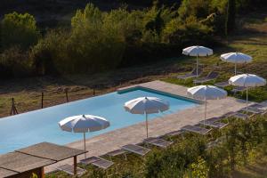 Chianti B&B Design infinity pool shared