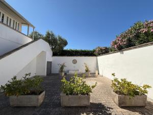 Malvischi Guesthouse - Garden & Pool ad Uso Esclusivo