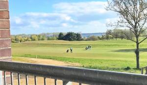 Birdielounge No 25 - Aurora Vista - ABC552