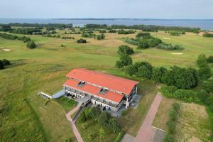 Birdielounge No 25 - Aurora Vista - ABC552