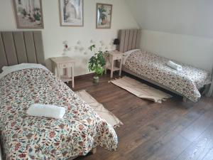Apartamenty TUTERRA IV