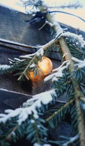 Całoroczny Apartament Jacuzzi Zieleniec Goat Glamp