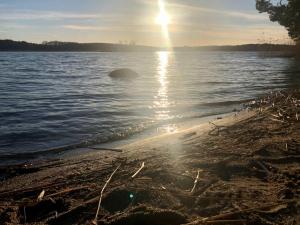 Bright Townhouse Near Sea & Nature