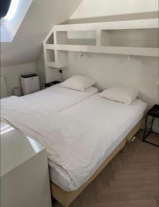 Chique loft uitzicht kathedraal Antwerpen