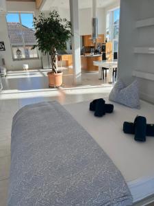 Luxus-Loft Atrium -X-