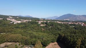 CASA DEL PAVONE - Capometa