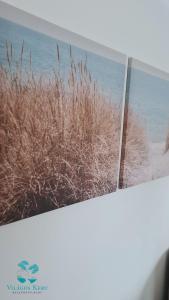 Világos Kert Garden Suites -Balatonvilágos