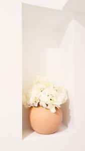 Világos Kert Garden Suites -Balatonvilágos