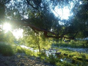 Hermosa casita para descansar