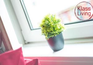 Kenmar House by Klass Living Hamilton