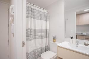 Modern Urban Studio in Santa Lucia Prime Location