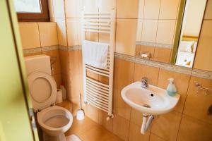 Zafir House Harghita Bai Ski