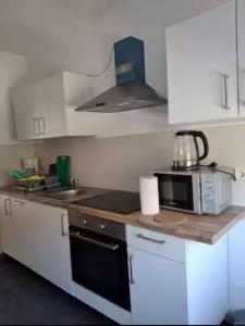 Schöne Vollausgestattete Monteurs- Gästewohnung nähe Raffinerie Leuna und Geiseltalsee für 4 Personen 0303