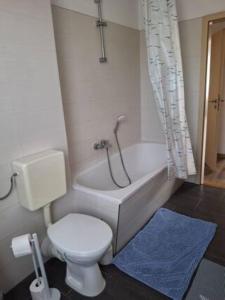 Schöne Vollausgestattete Monteurs- Gästewohnung nähe Raffinerie Leuna und Geiseltalsee für 4 Personen 0303