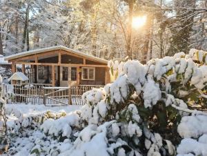 chalet bosrust nr 38