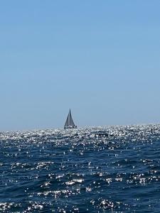 Paseos en Velero Buena Racha