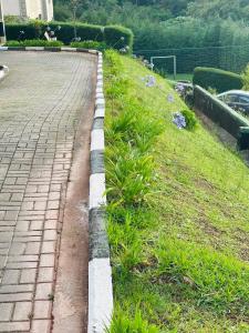 Apartamento Aconchegante