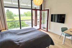 Wilde Möwe No 29 - Aurora Vista - ABC529