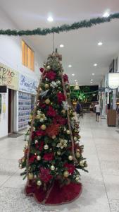 Flat Novo a 1 Min da Praia Pitangueiras