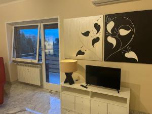 Cozy panoramic studio monolocale